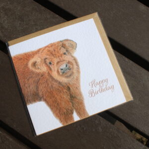 Jimmy card - Happy birthday