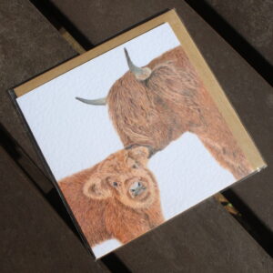 Jimmy and Splendour - Blank card