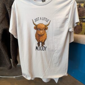 Dumble Farm "Just a little moody" T-shirt