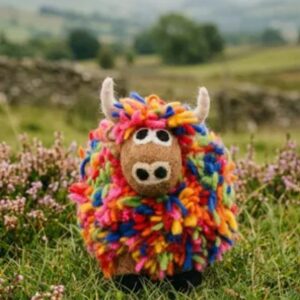 Archie The Highland Cow In Colour