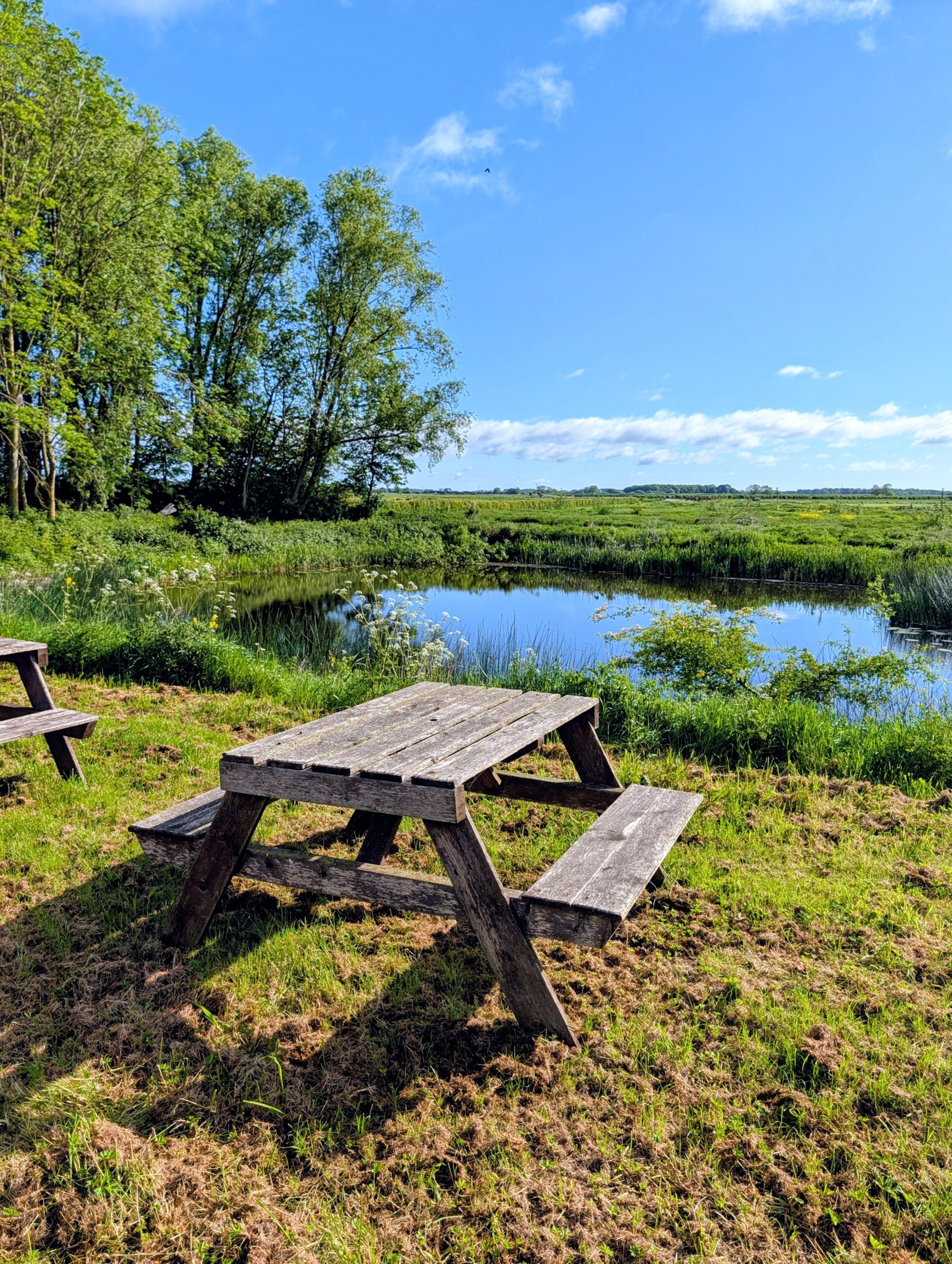 Private picnic area for campsite guests at the pond