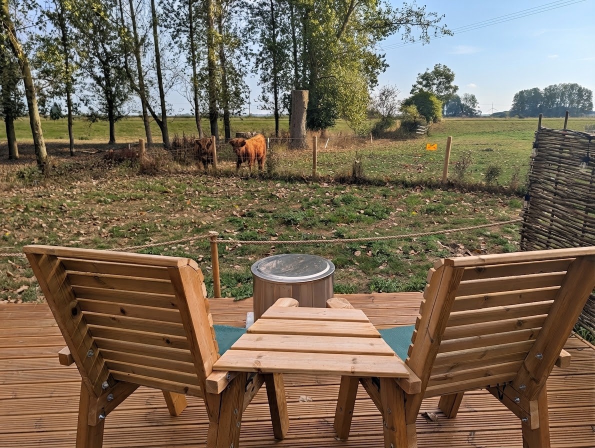 The XL yurts decking area overlooks the paddock which has some of our young highlands in.